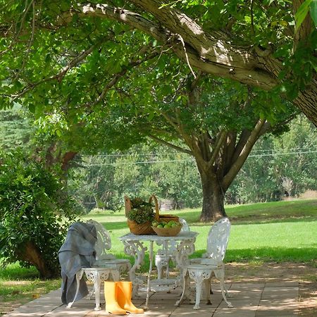 St Fort Farm Guesthouse Clarens Bagian luar foto