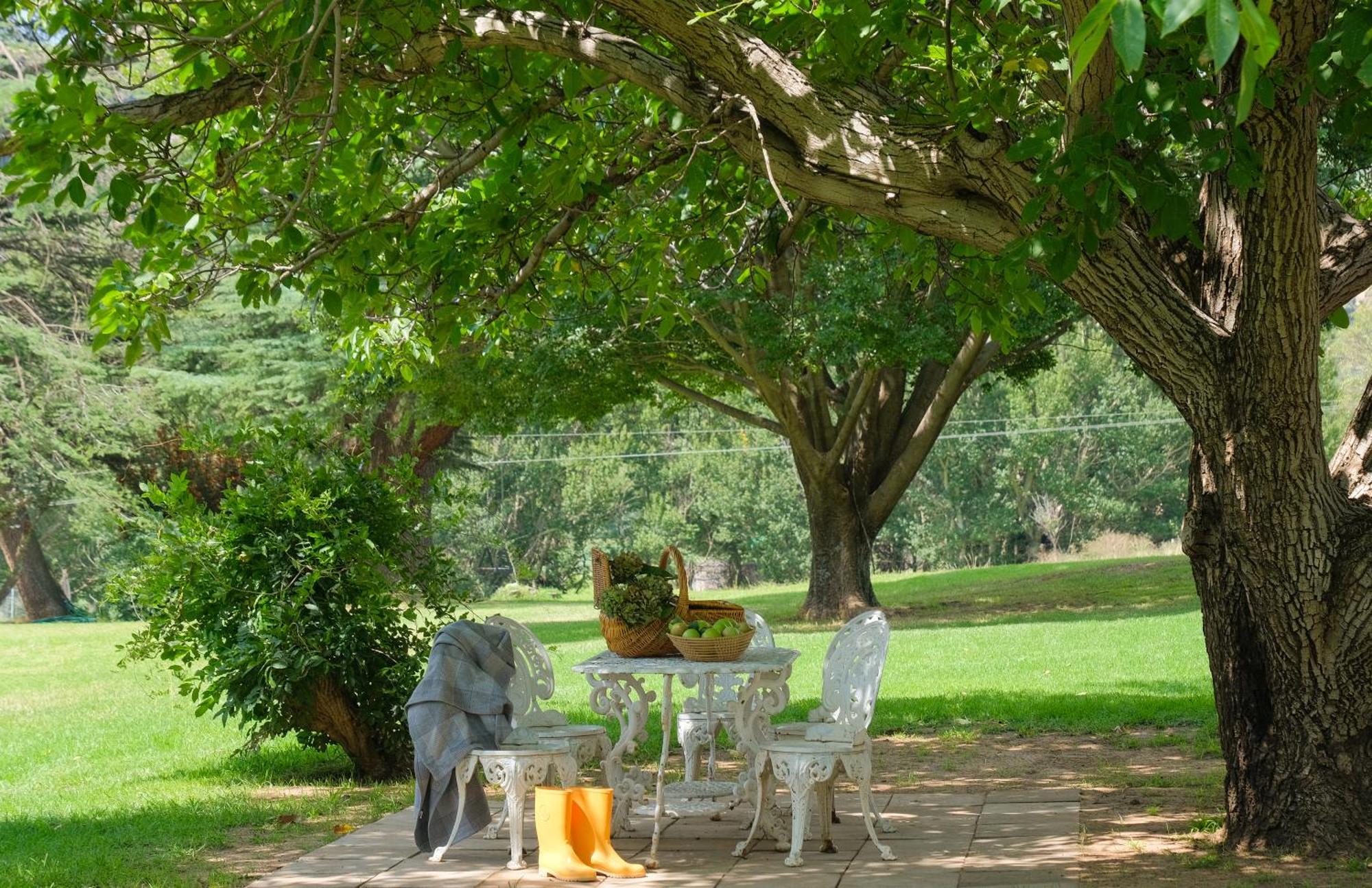 St Fort Farm Guesthouse Clarens Bagian luar foto